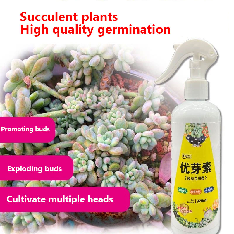 Bonsai Soil Akadama - NEW Succulent Plant Eugenin Promotes Budding,