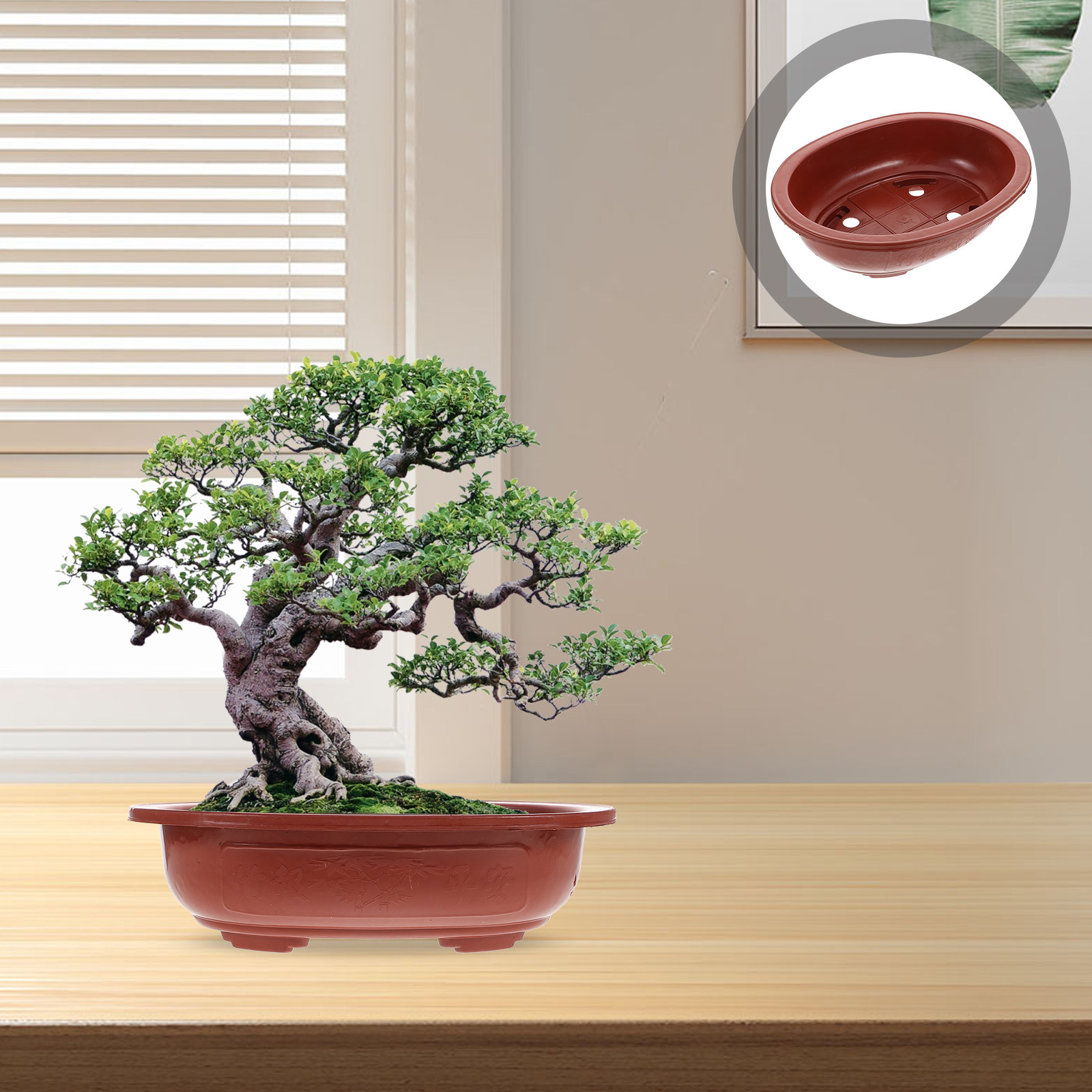 Bonsai Vertical Garden - 4Pcs Thickened Plastic Bonsai Pots for