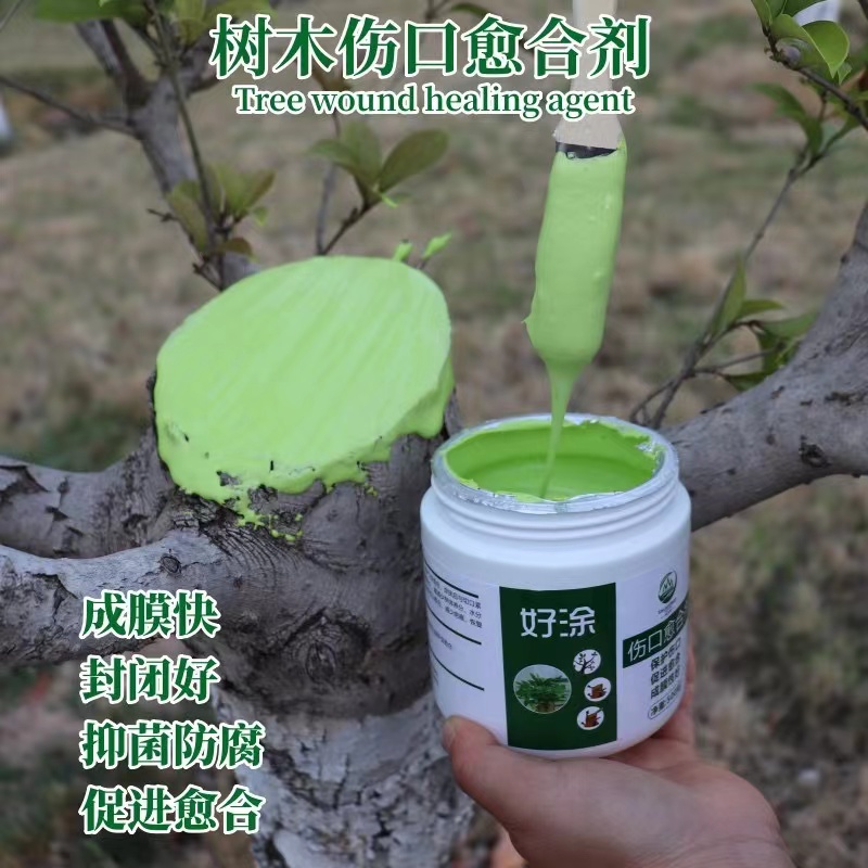 Bonsai Garden Accessories - Tree Wound Bonsai Cut Paste Plant