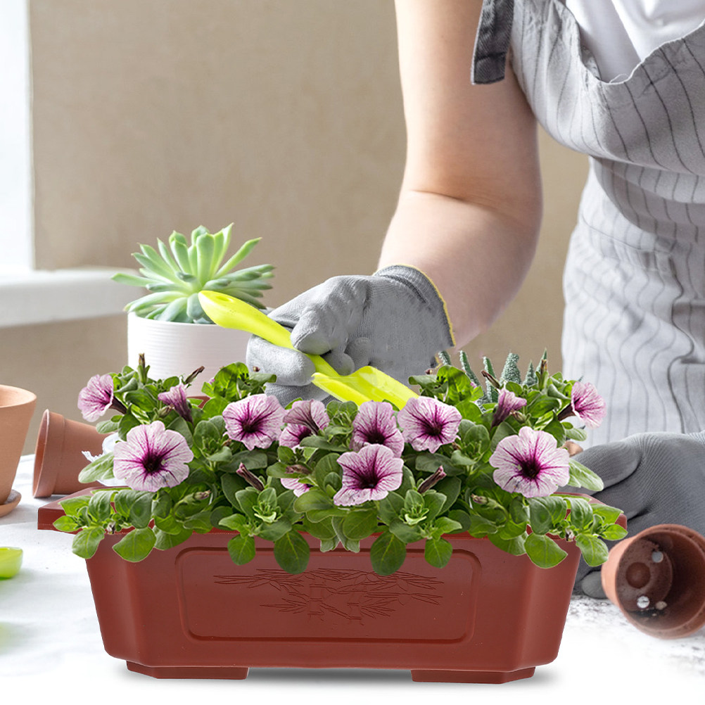 6Pcs Modern Plastic Bonsai Pot - Bonsai Vertical Garden บทวิจารณ์และราคา