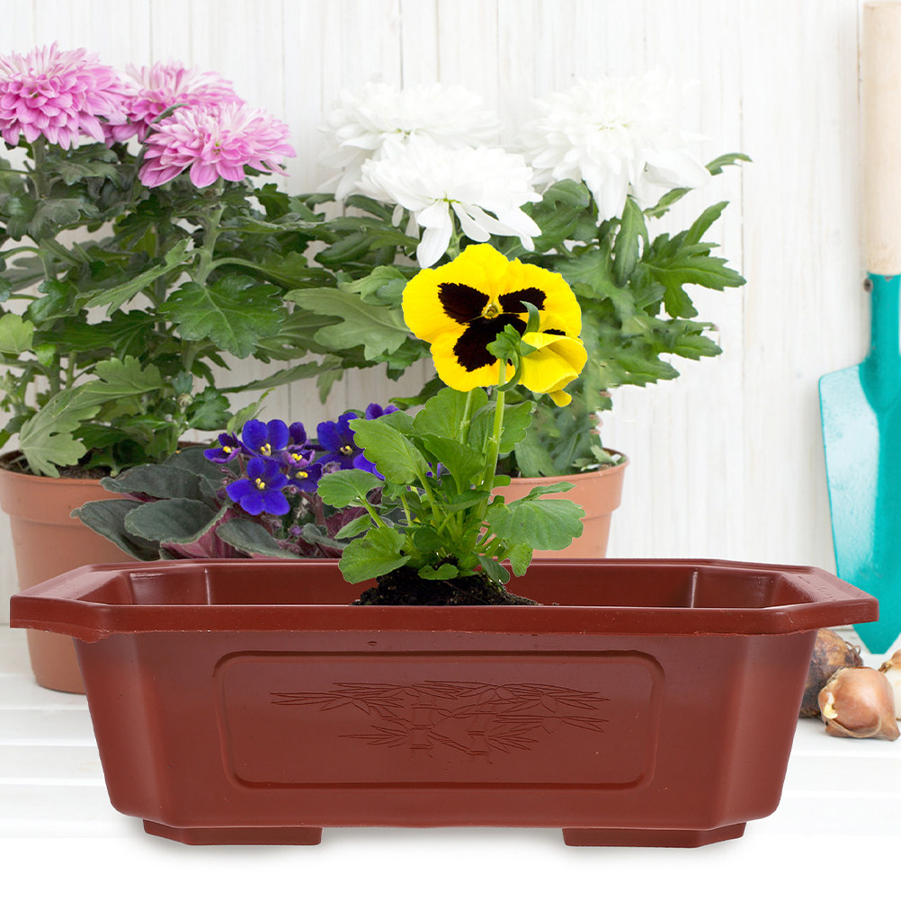 6Pcs Modern Plastic Bonsai Pot - Bonsai Vertical Garden บทวิจารณ์และราคา