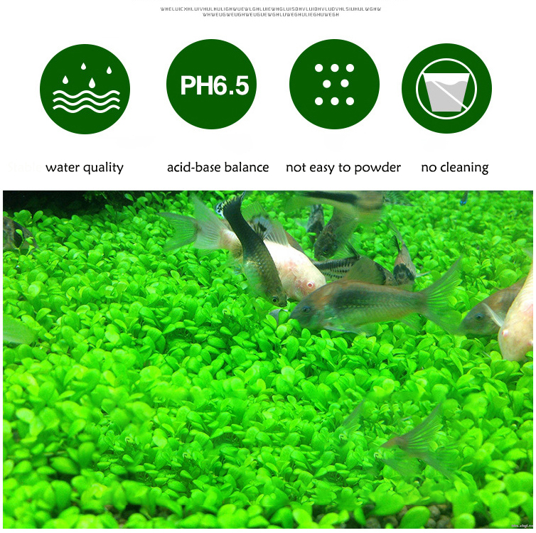 Aquarium Water Grass Mud Plant - Bonsai Soil Akadama บทวิจารณ์และราคา
