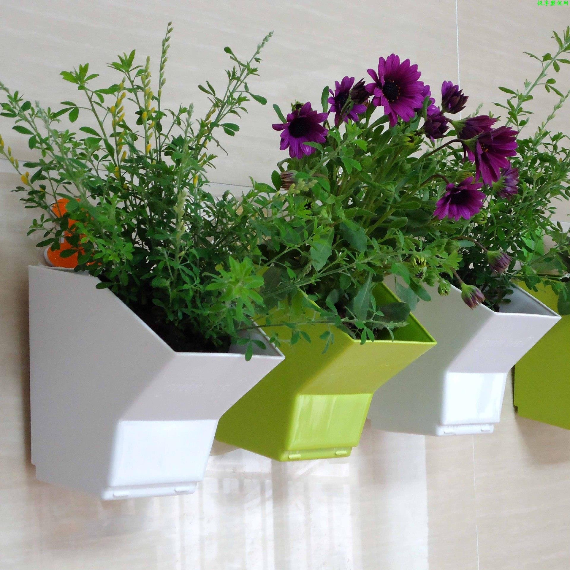 2 pcs Wall Hanging Planter Flo - Bonsai Vertical Garden บทวิจารณ์และราคา