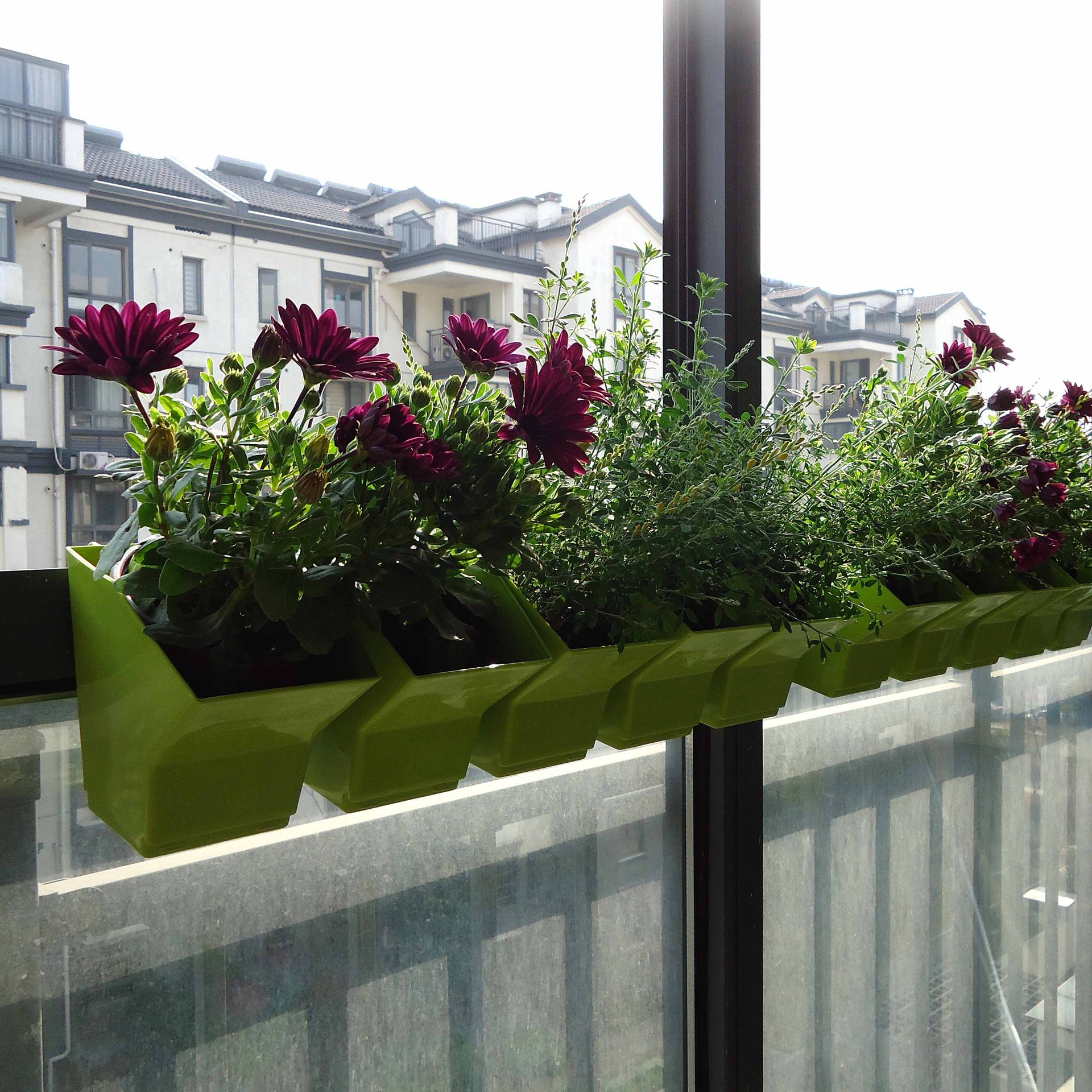 2 pcs Wall Hanging Planter Flo - Bonsai Vertical Garden บทวิจารณ์และราคา