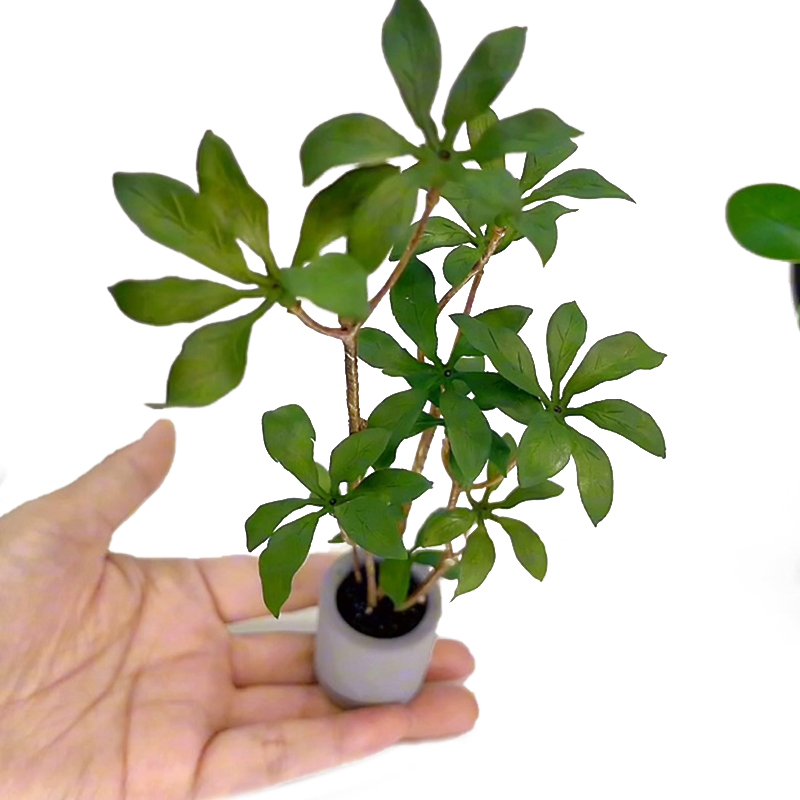 1:6 Dollhouse Miniature Potted - Bonsai Garden Accessories บทวิจารณ์และราคา
