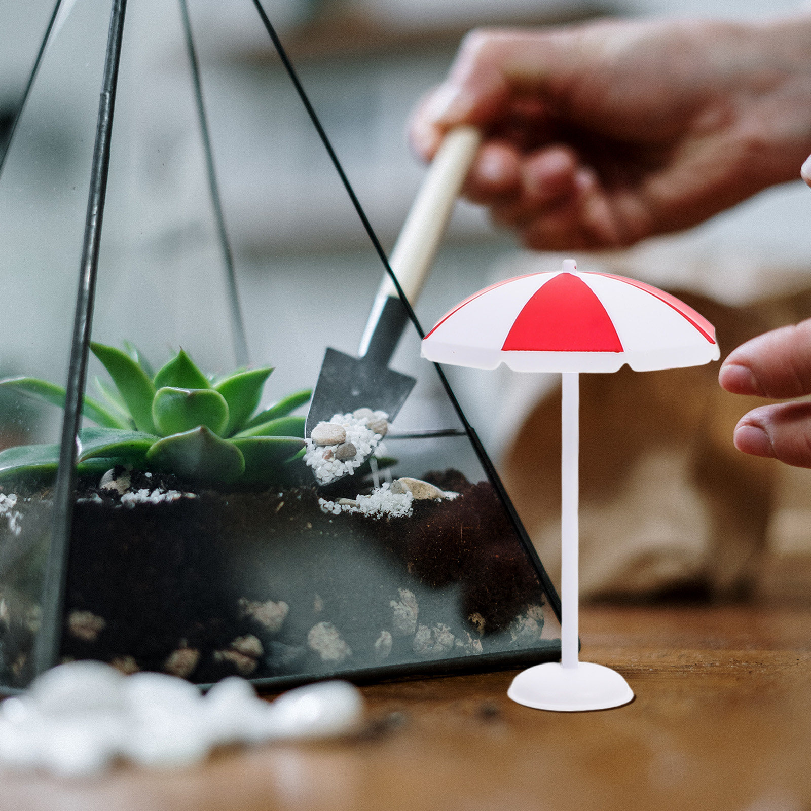 6Pcs Mini Beach Sun Umbrella C - Bonsai Garden Accessories บทวิจารณ์และราคา