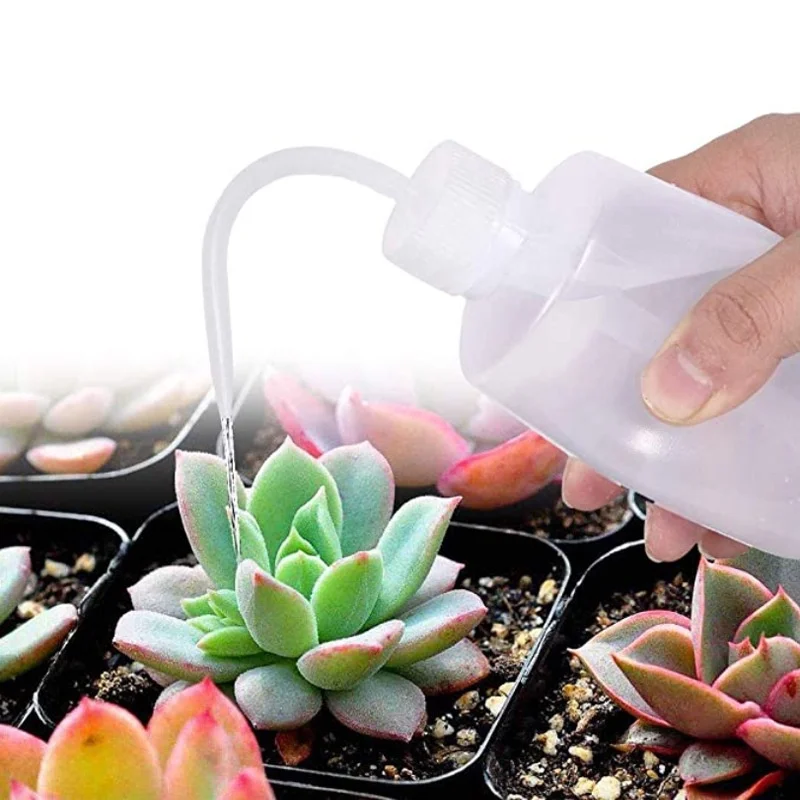 13Pcs Garden Planter Kit DIY S - Bonsai Garden Accessories บทวิจารณ์และราคา