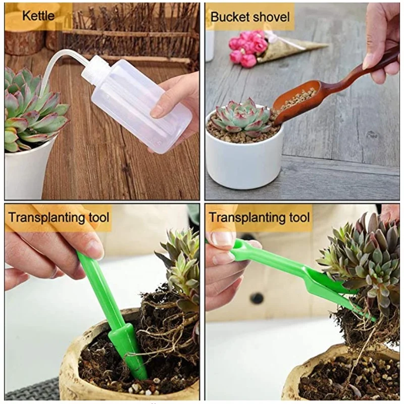 13Pcs Garden Planter Kit DIY S - Bonsai Garden Accessories บทวิจารณ์และราคา