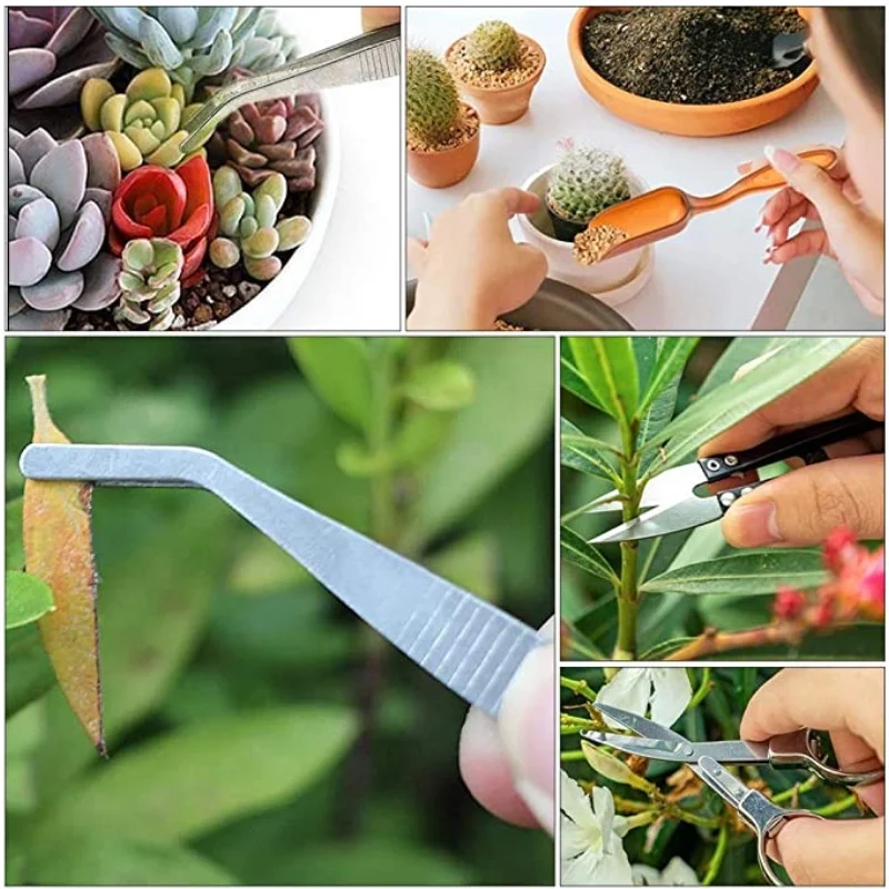 13Pcs Garden Planter Kit DIY S - Bonsai Garden Accessories บทวิจารณ์และราคา
