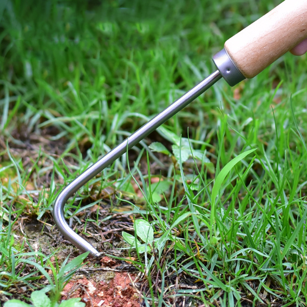 1PC Single Claw Hook Soil Loos - Bonsai Garden Accessories บทวิจารณ์และราคา