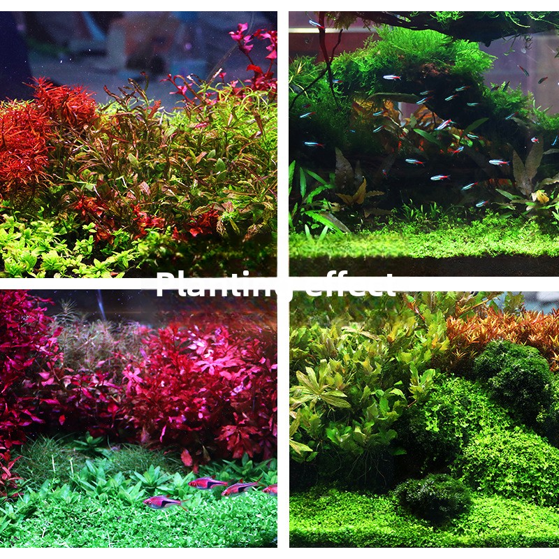SYSENCIAGA Planted Aquarium Su - Bonsai Soil Akadama บทวิจารณ์และราคา