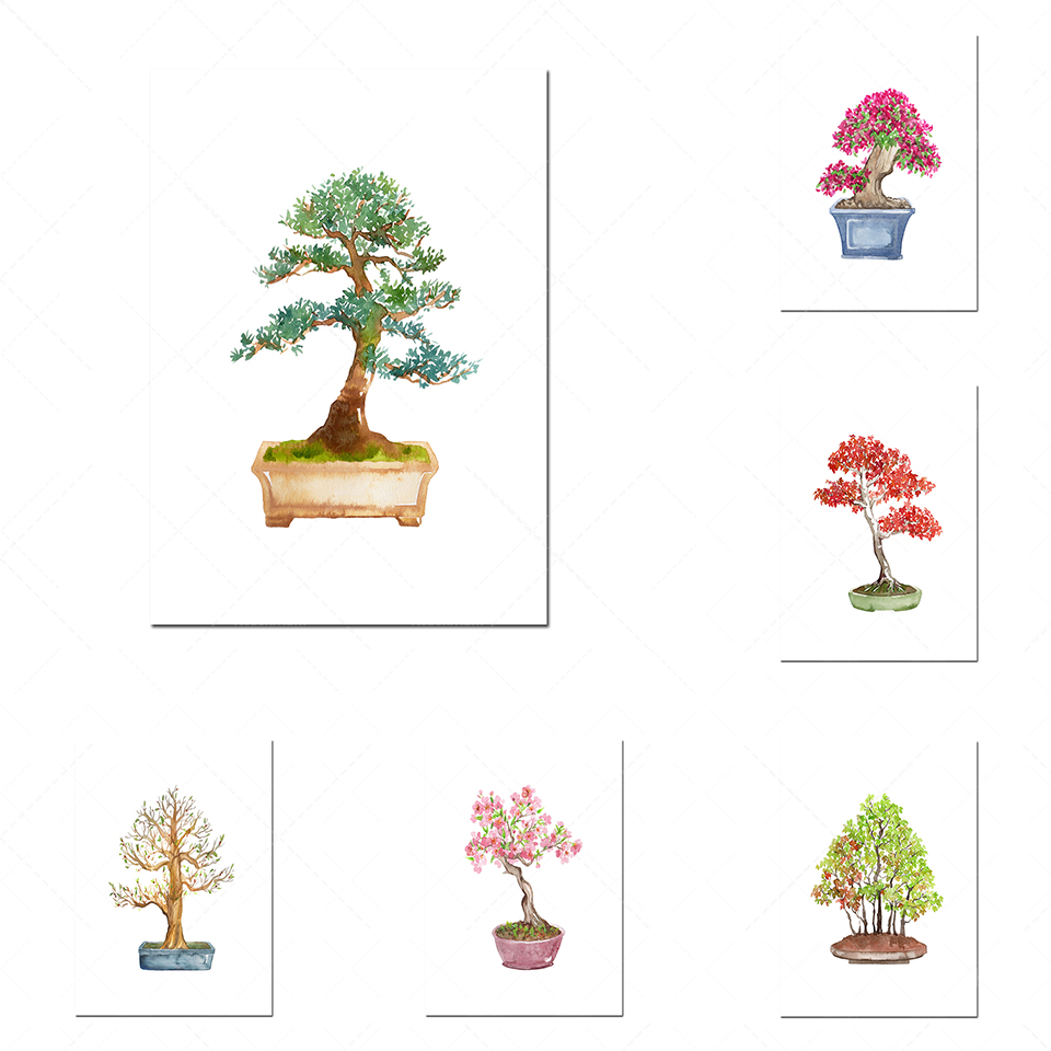 Watercolor bonsai printable ar - Bonsai Vertical Garden บทวิจารณ์และราคา