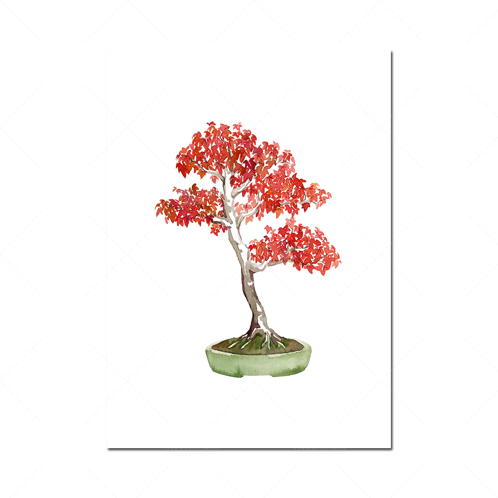 Watercolor bonsai printable ar - Bonsai Vertical Garden บทวิจารณ์และราคา