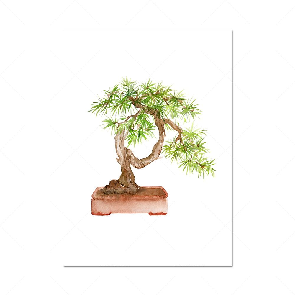Watercolor bonsai printable ar - Bonsai Vertical Garden บทวิจารณ์และราคา