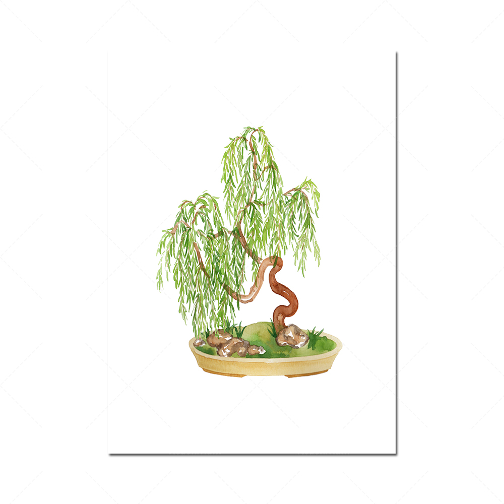 Watercolor bonsai printable ar - Bonsai Vertical Garden บทวิจารณ์และราคา