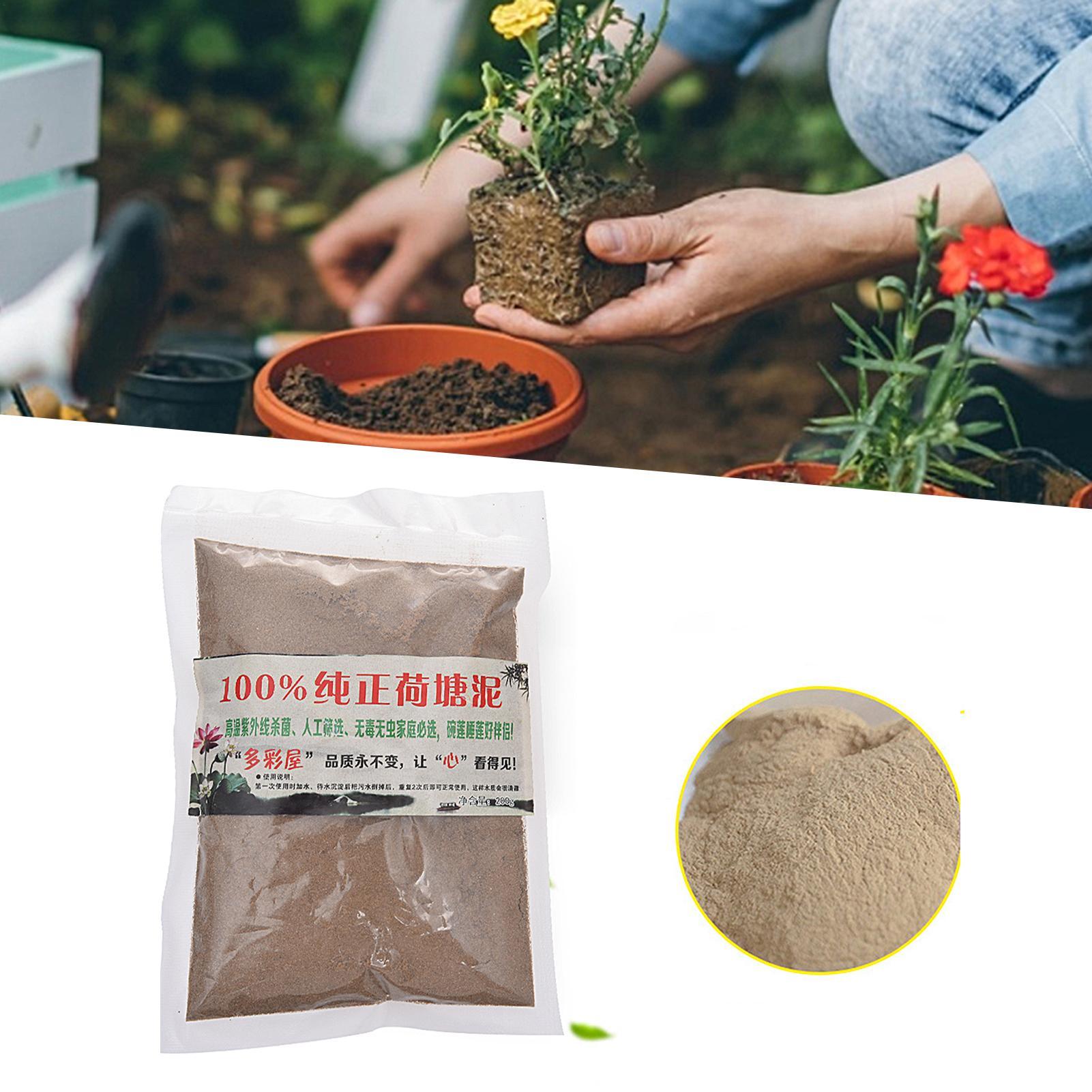 200g Natural Lotus Pond Mud Ga - Bonsai Soil Akadama บทวิจารณ์และราคา