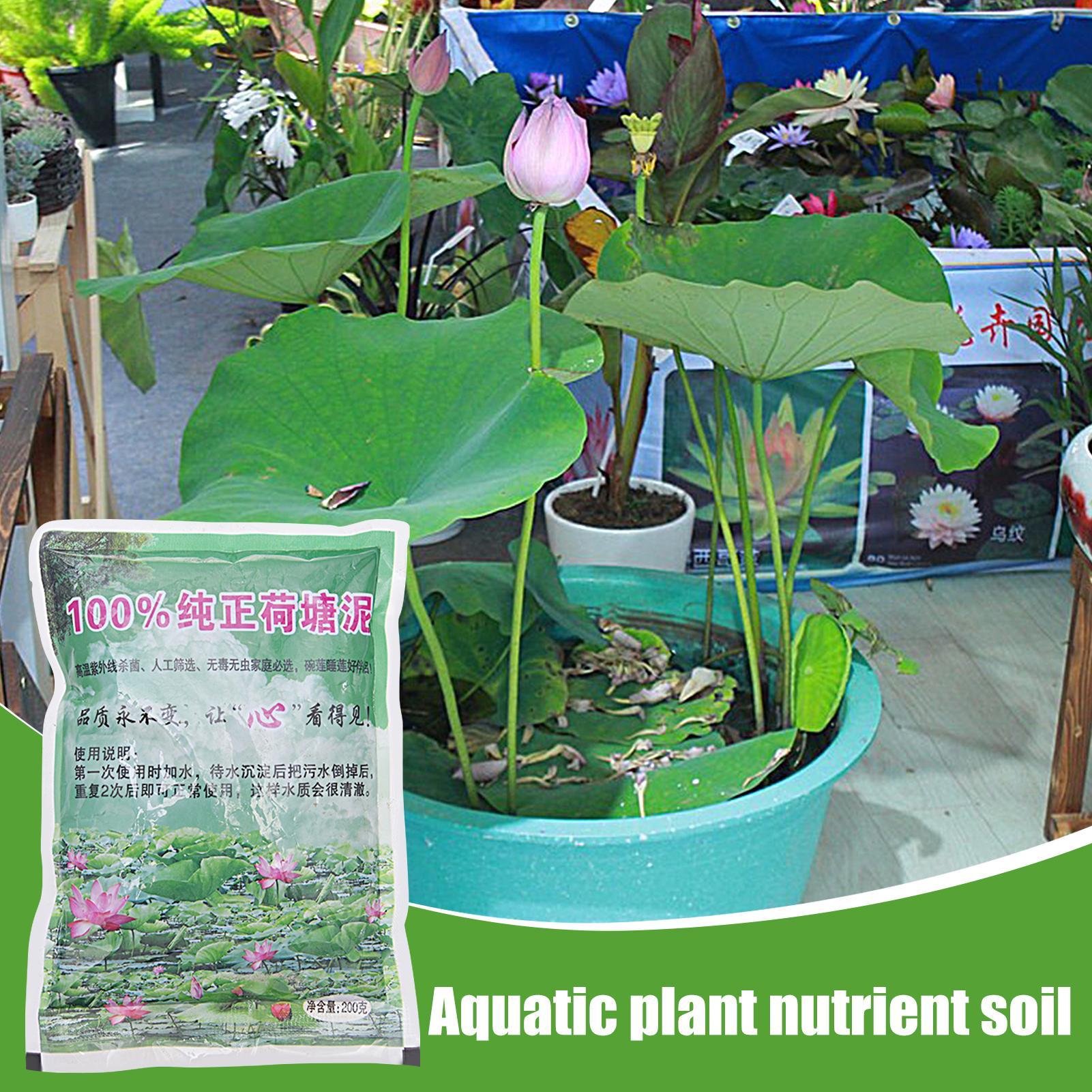 200g Natural Lotus Pond Mud Ga - Bonsai Soil Akadama บทวิจารณ์และราคา