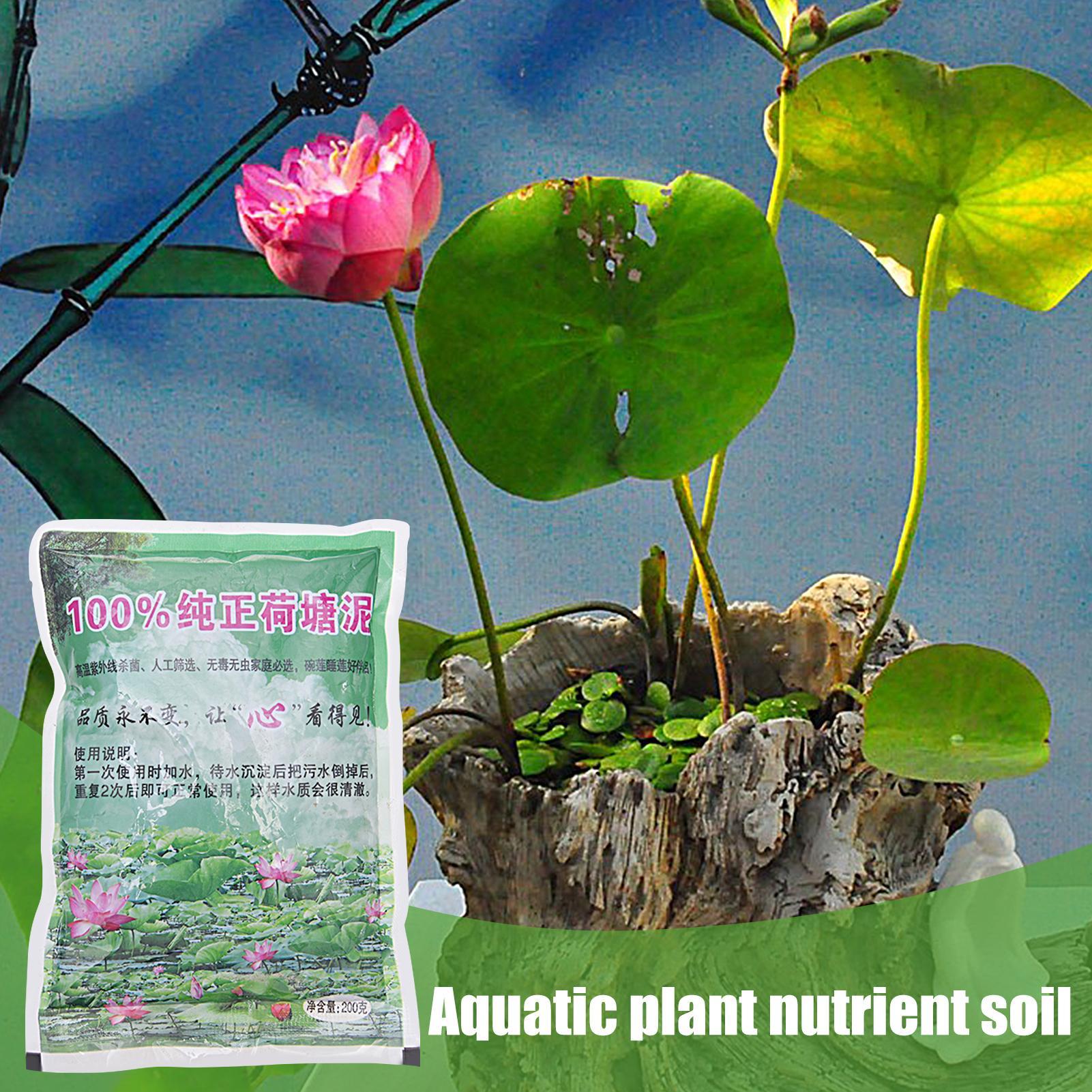 200g Natural Lotus Pond Mud Ga - Bonsai Soil Akadama บทวิจารณ์และราคา