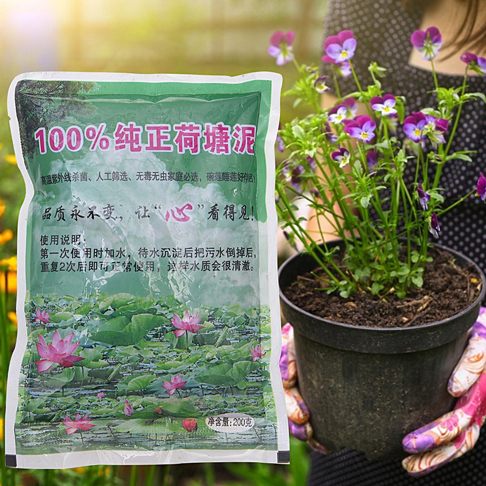 200g Natural Lotus Pond Mud Ga - Bonsai Soil Akadama บทวิจารณ์และราคา