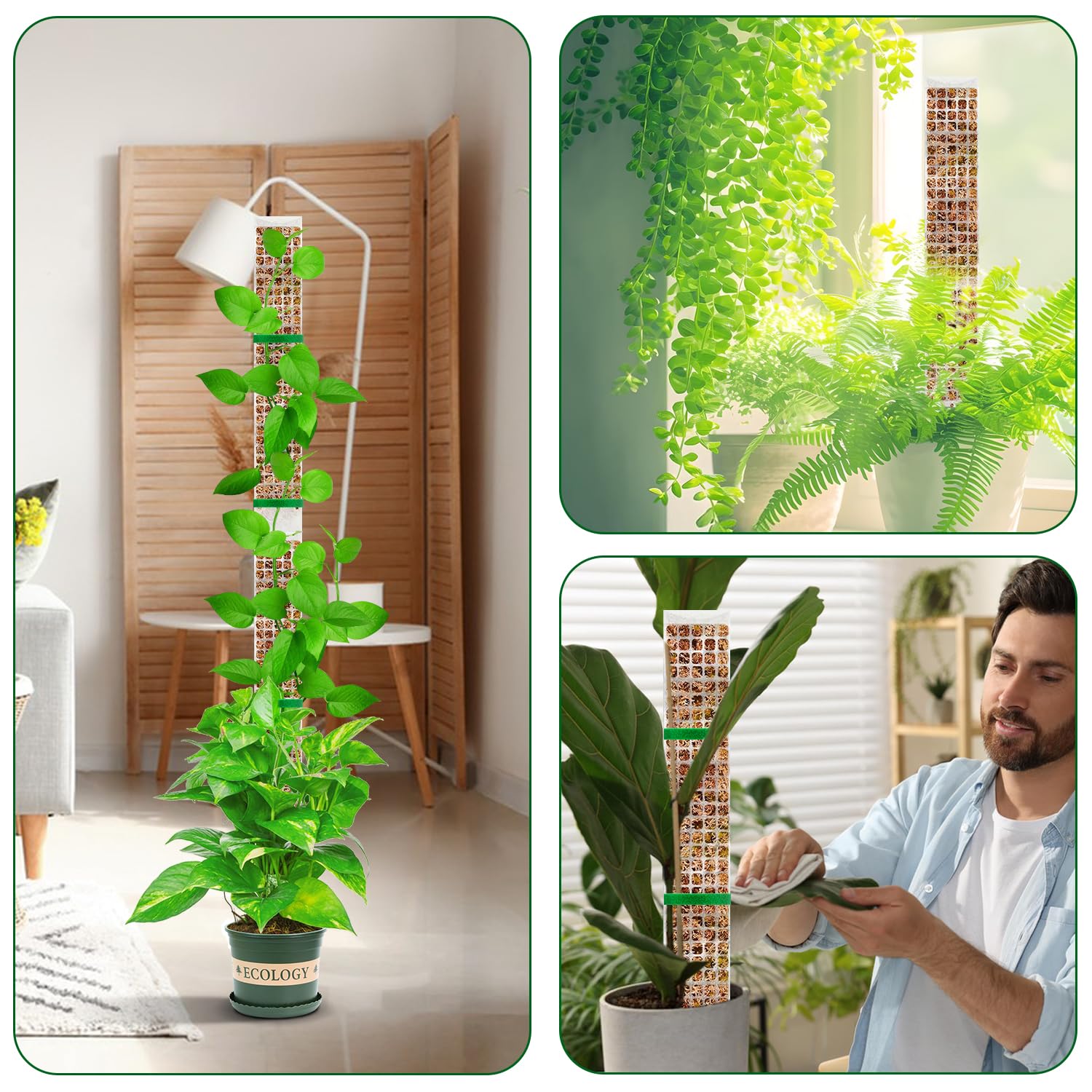 Plants Moss Pole Garden Subjec - Bonsai Garden Accessories บทวิจารณ์และราคา