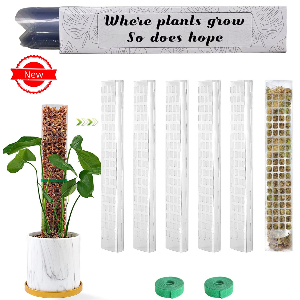 Plants Moss Pole Garden Subjec - Bonsai Garden Accessories บทวิจารณ์และราคา