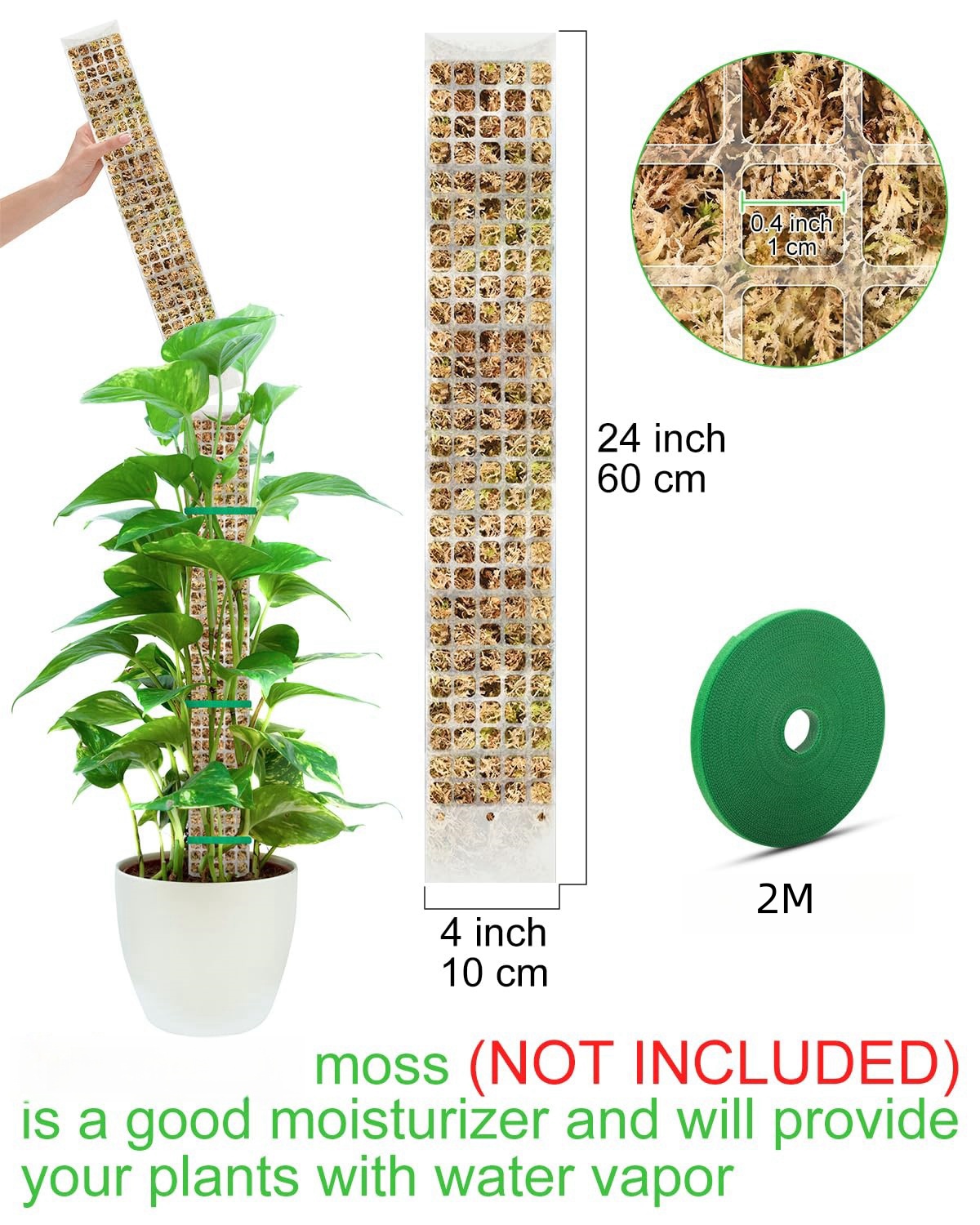 Plants Moss Pole Garden Subjec - Bonsai Garden Accessories บทวิจารณ์และราคา