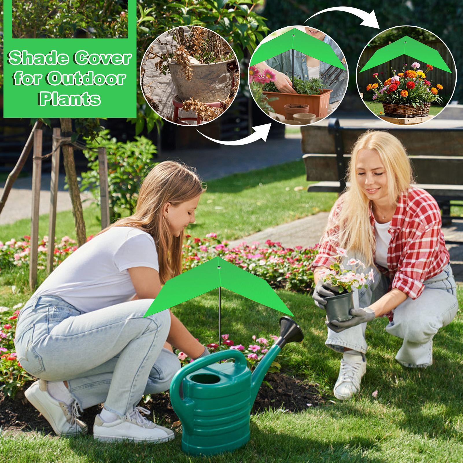 Plant Umbrella Anti-UV Heat Re - Bonsai Garden Cafe บทวิจารณ์และราคา