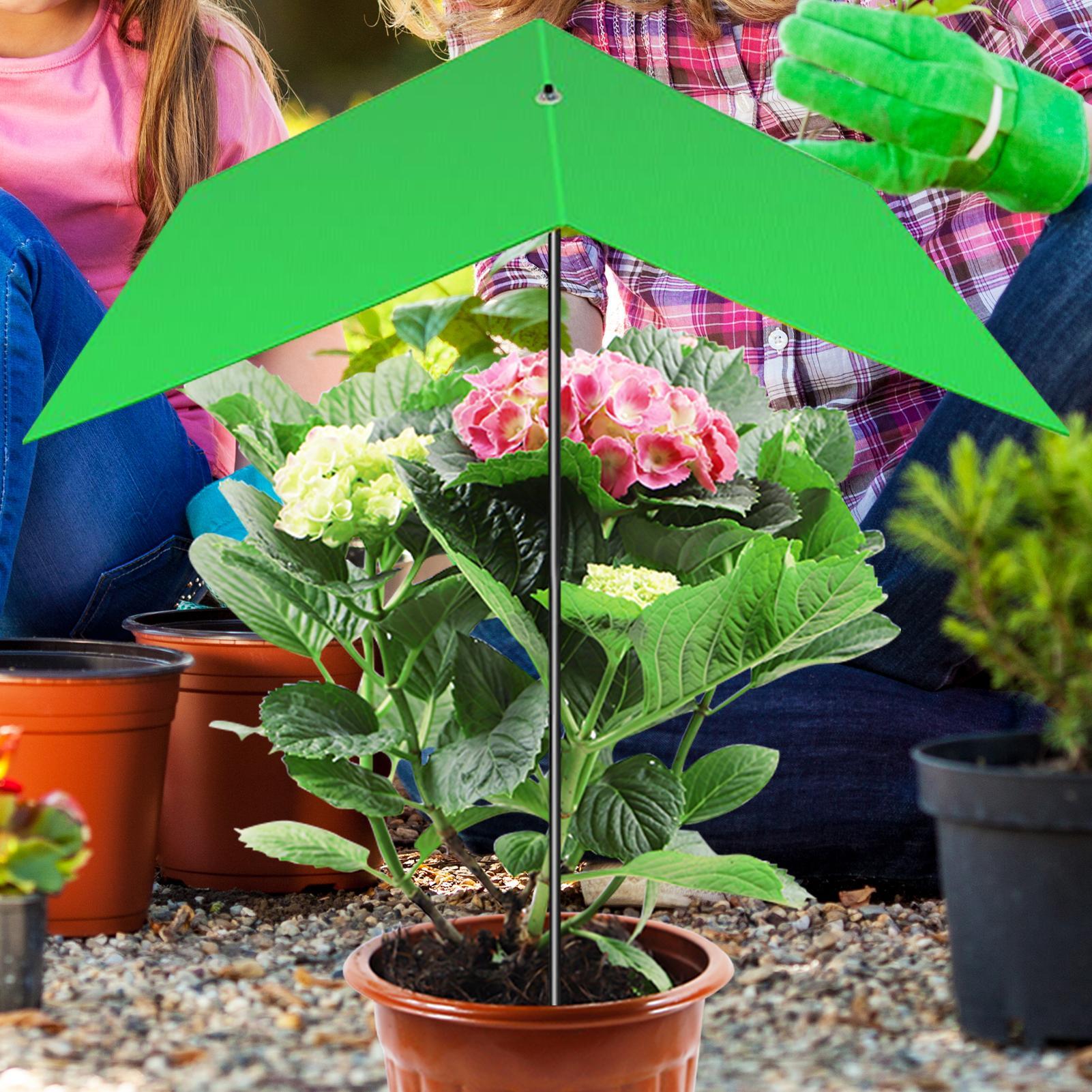 Plant Umbrella Anti-UV Heat Re - Bonsai Garden Cafe บทวิจารณ์และราคา