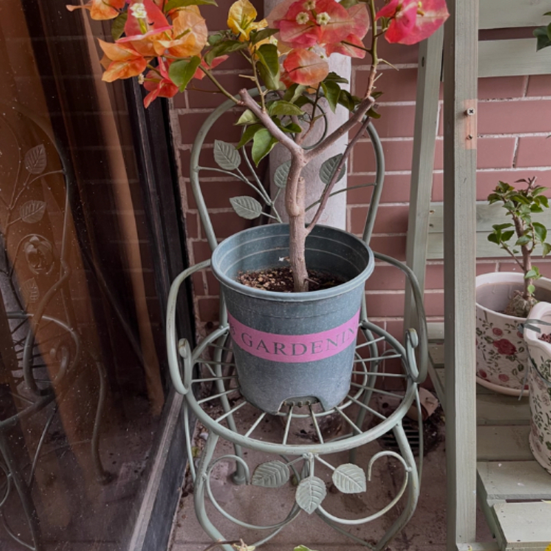 Iron Rose Flower Stand Stool V - Bonsai Vertical Garden บทวิจารณ์และราคา