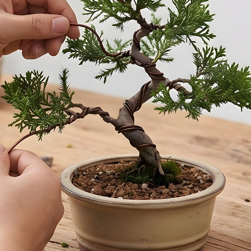 10/1Roll Aluminum Bonsai Train - Bonsai Garden Accessories บทวิจารณ์และราคา