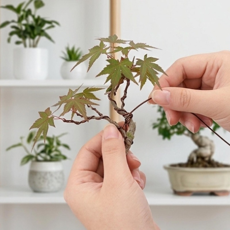 10/1Roll Aluminum Bonsai Train - Bonsai Garden Accessories บทวิจารณ์และราคา
