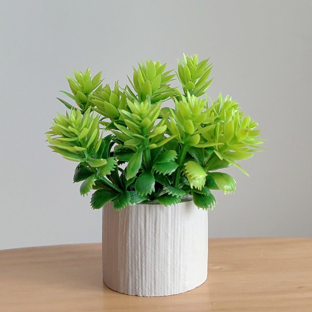 1:6 Scale Dollhouse Potted Pla - Bonsai Garden Accessories บทวิจารณ์และราคา