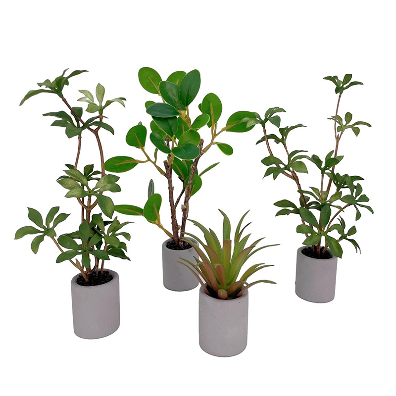 1:6 Dollhouse Miniature Potted - Bonsai Garden Accessories บทวิจารณ์และราคา
