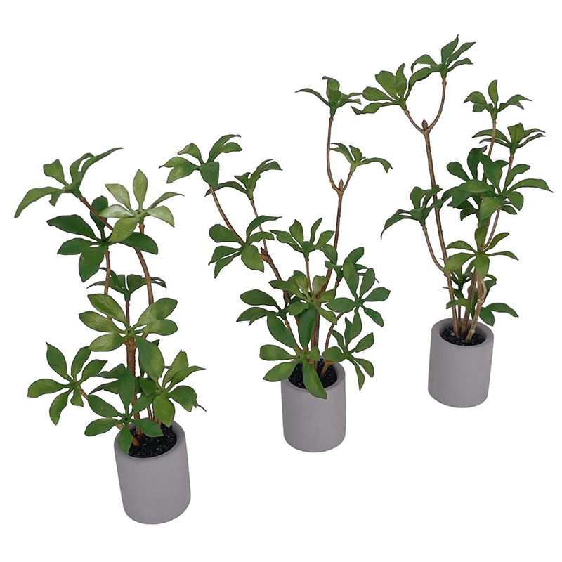 1:6 Dollhouse Miniature Potted - Bonsai Garden Accessories บทวิจารณ์และราคา