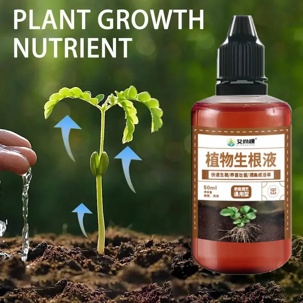 1Pcs Fast Rooting Stimulator P - Bonsai Soil Akadama บทวิจารณ์และราคา