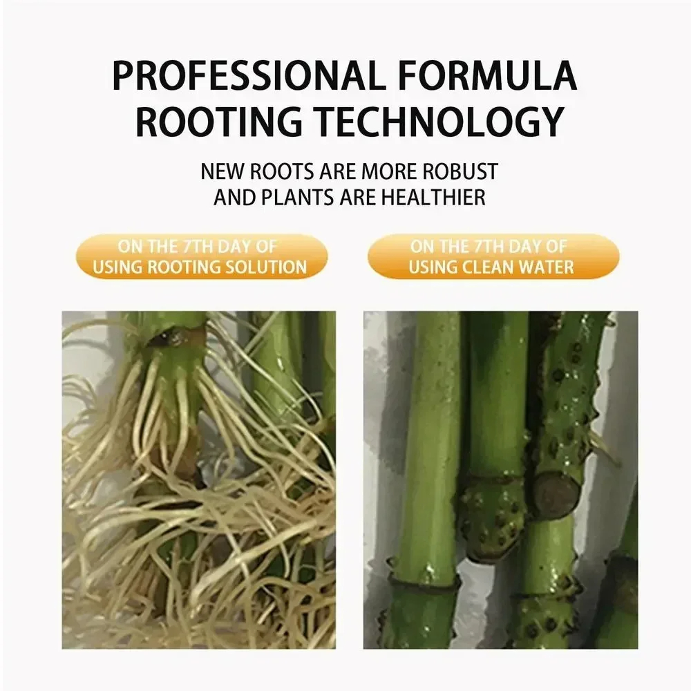 1Pcs Fast Rooting Stimulator P - Bonsai Soil Akadama บทวิจารณ์และราคา