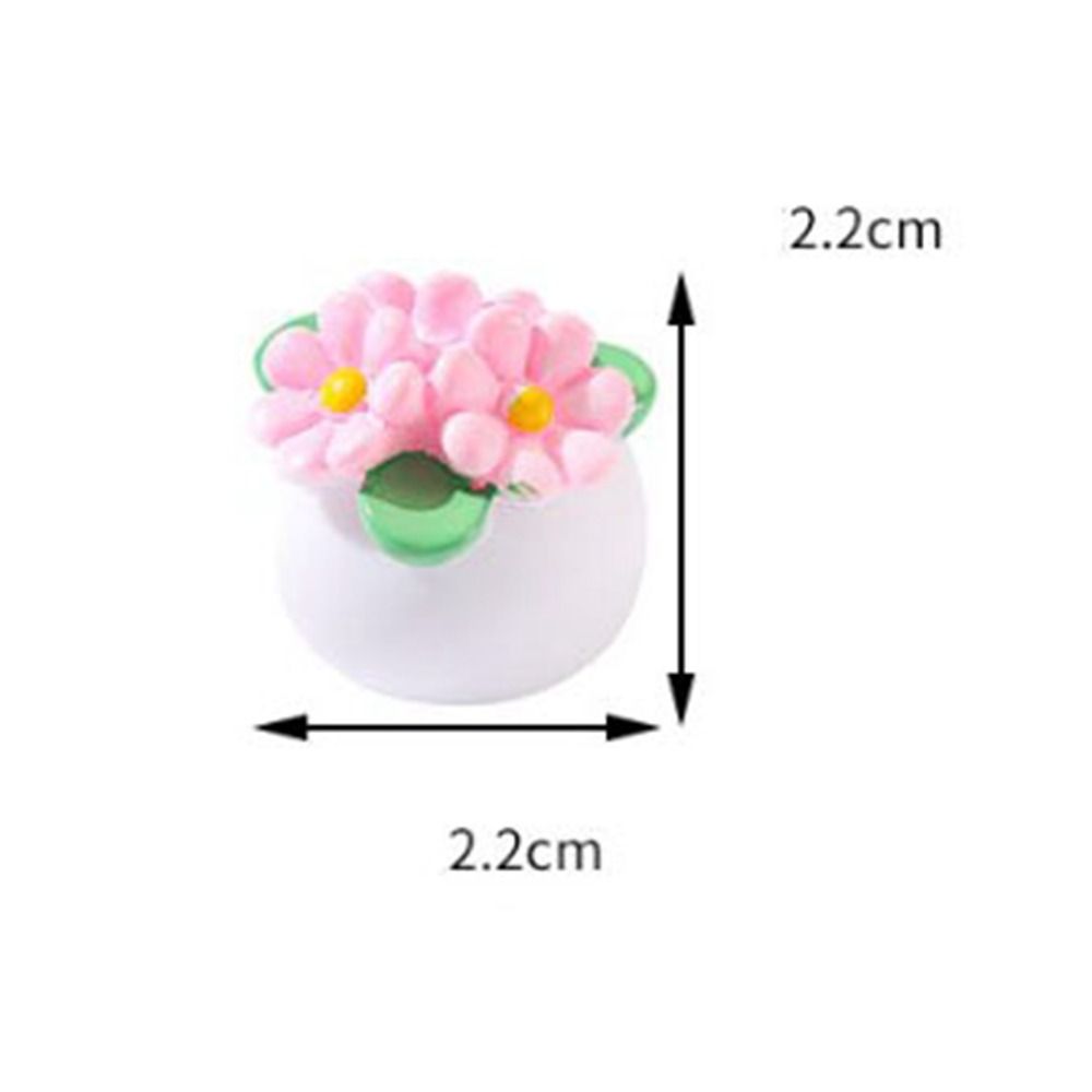 1:12 Dollhouse Miniature Potte - Bonsai Garden Accessories บทวิจารณ์และราคา