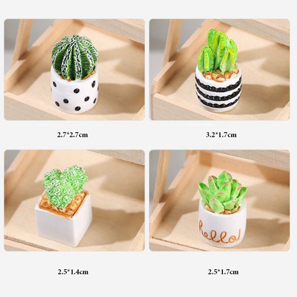 1:12 Dollhouse Miniature Potte - Bonsai Garden Accessories บทวิจารณ์และราคา