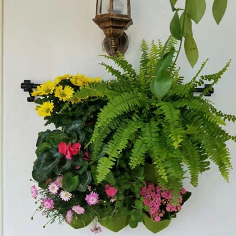 Wall Hanging Planting Bag Mult - Bonsai Vertical Garden บทวิจารณ์และราคา