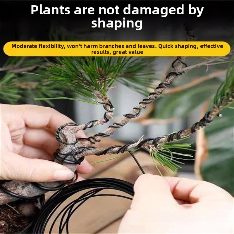 1.5MM Bonsai Wires Aluminum Bo - Bonsai Garden Accessories บทวิจารณ์และราคา