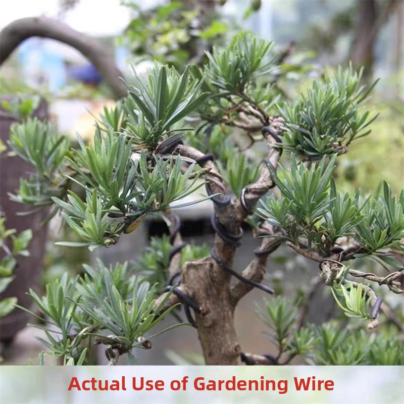 1.5MM Bonsai Wires Aluminum Bo - Bonsai Garden Accessories บทวิจารณ์และราคา