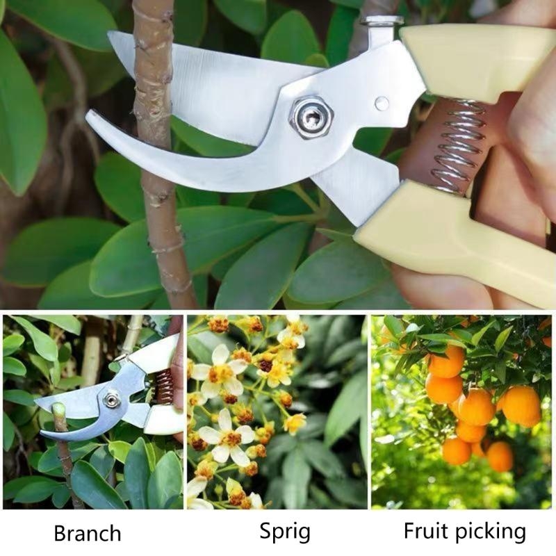 Fruit Bonsai Picking Scissors  - Bonsai Garden Hours บทวิจารณ์และราคา