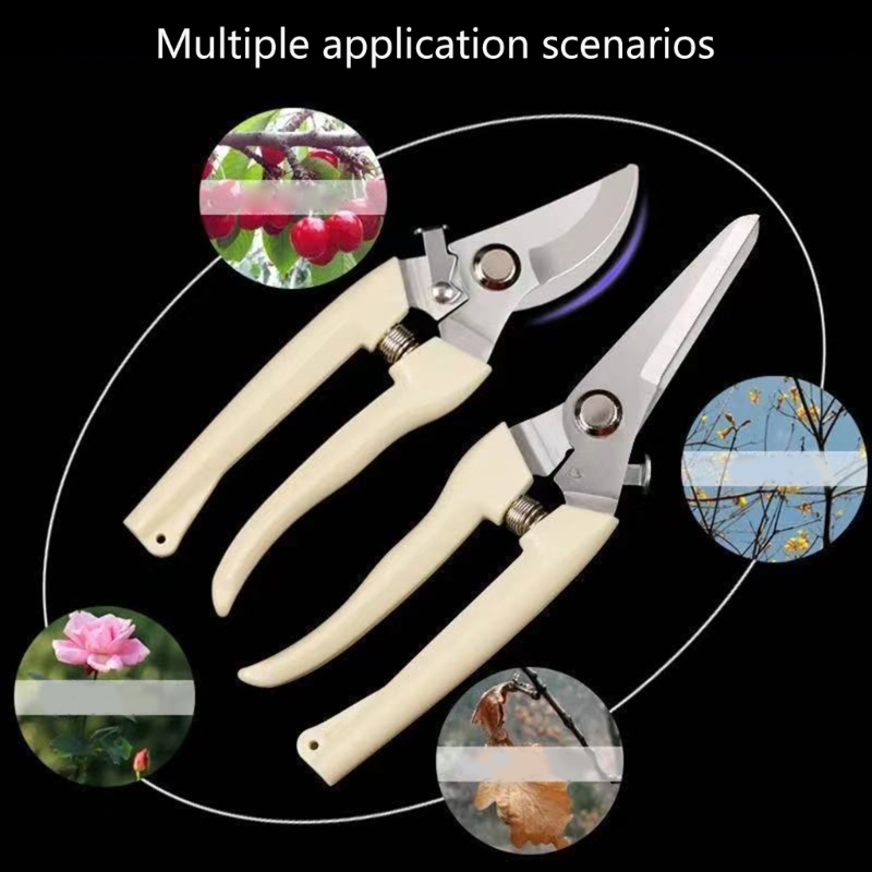 Fruit Bonsai Picking Scissors  - Bonsai Garden Hours บทวิจารณ์และราคา