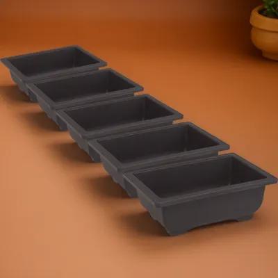 5Pcs Rectangular Bonsai Pot Pl - Bonsai Vertical Garden บทวิจารณ์และราคา