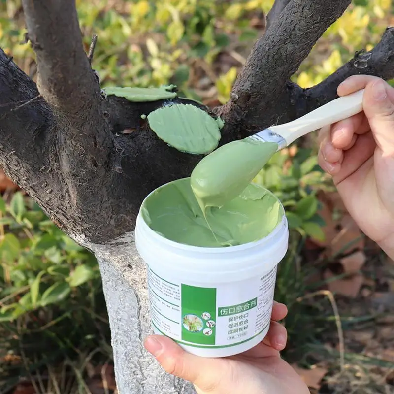 Tree Wound Bonsai Cut Paste Pl - Bonsai Garden Accessories บทวิจารณ์และราคา