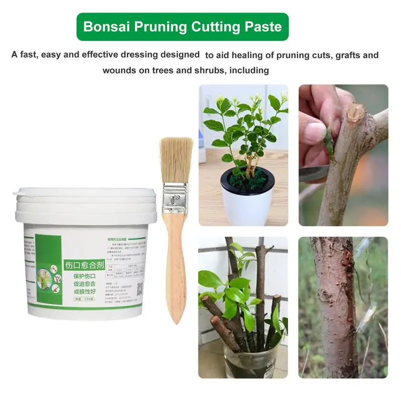 Tree Wound Bonsai Cut Paste Pl - Bonsai Garden Accessories บทวิจารณ์และราคา
