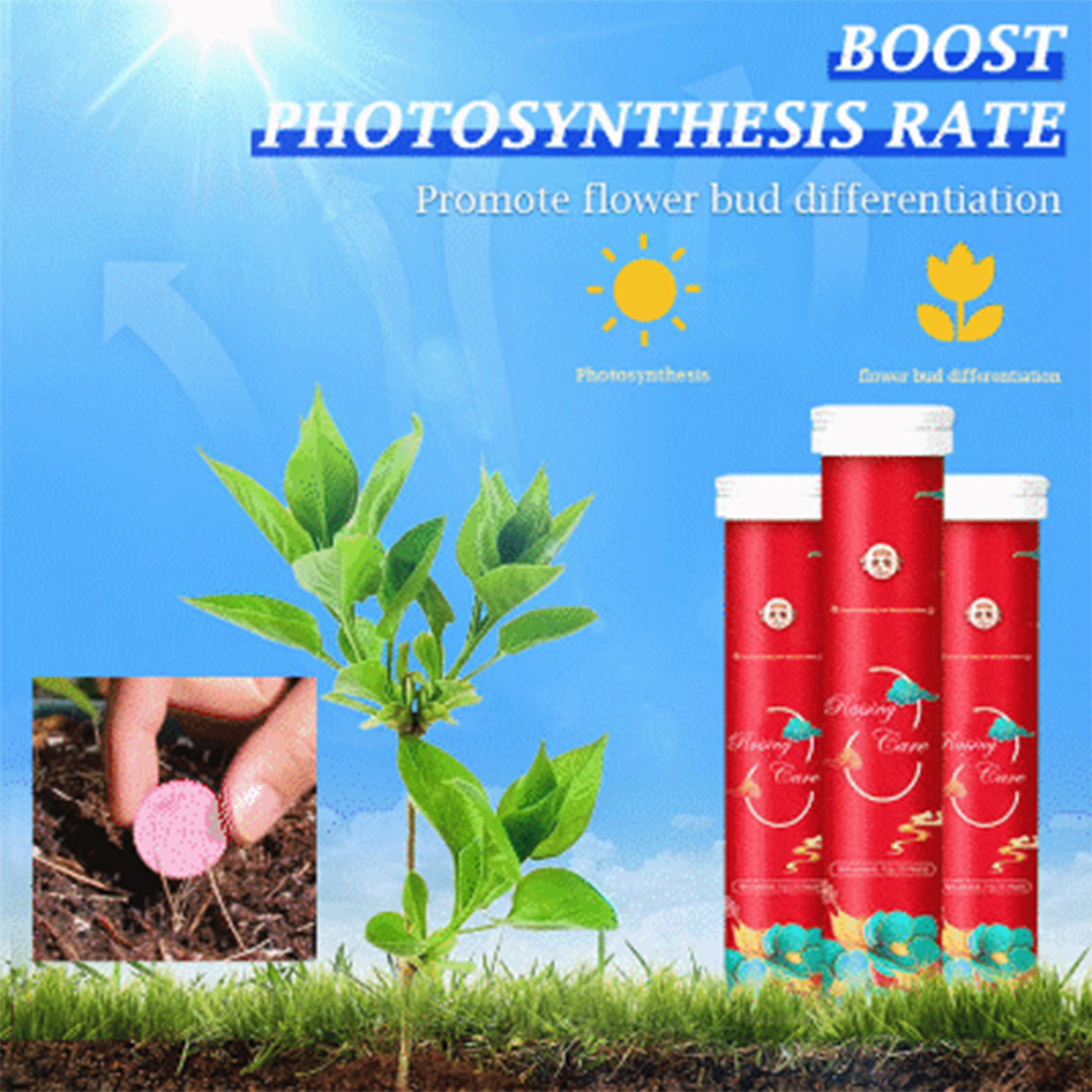 77g Long Lasting Potted Bonsai - Bonsai Soil Akadama บทวิจารณ์และราคา