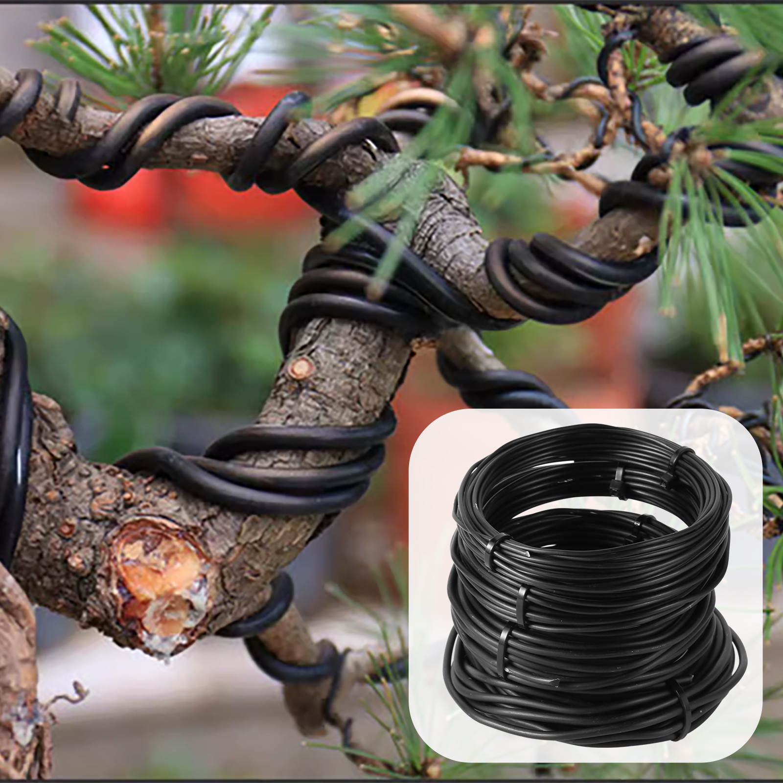 5/10m Bonsai Wire Plant Stand  - Bonsai Garden Accessories บทวิจารณ์และราคา