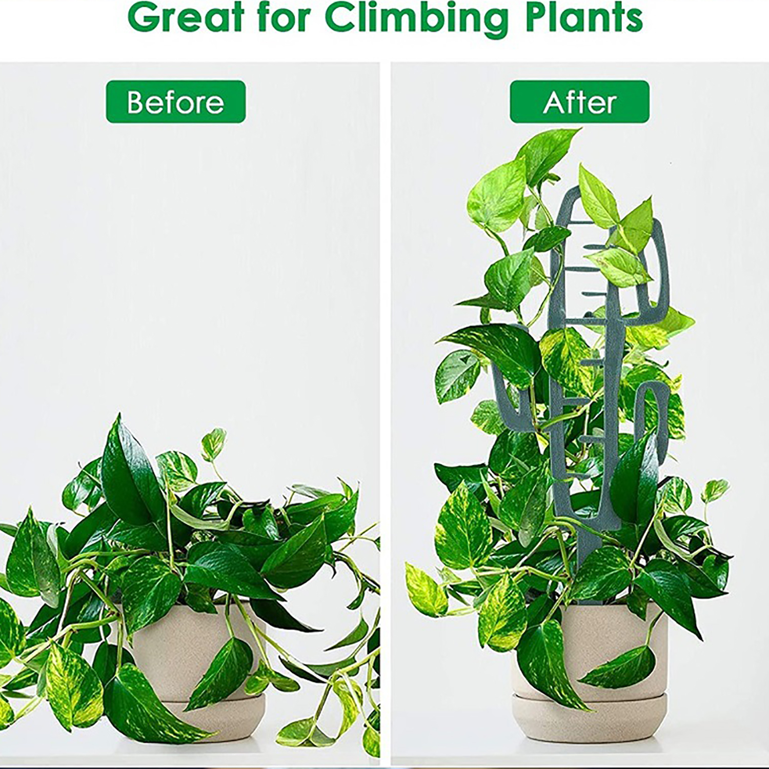 Plant Climbing Support Stand F - Bonsai Garden Accessories บทวิจารณ์และราคา