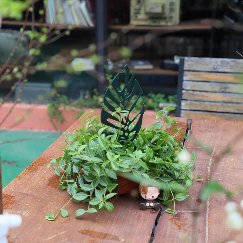 Plant Climbing Support Stand F - Bonsai Garden Accessories บทวิจารณ์และราคา